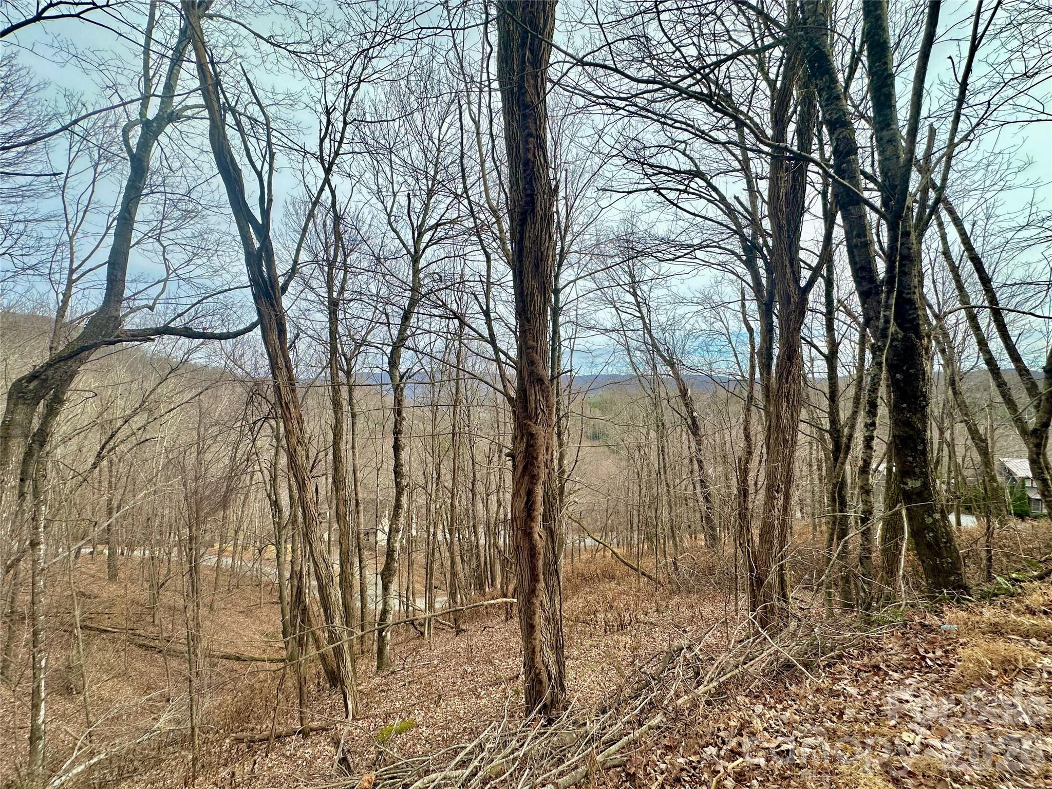 Tbd Alpine Drive Seven Devils NC 28604
