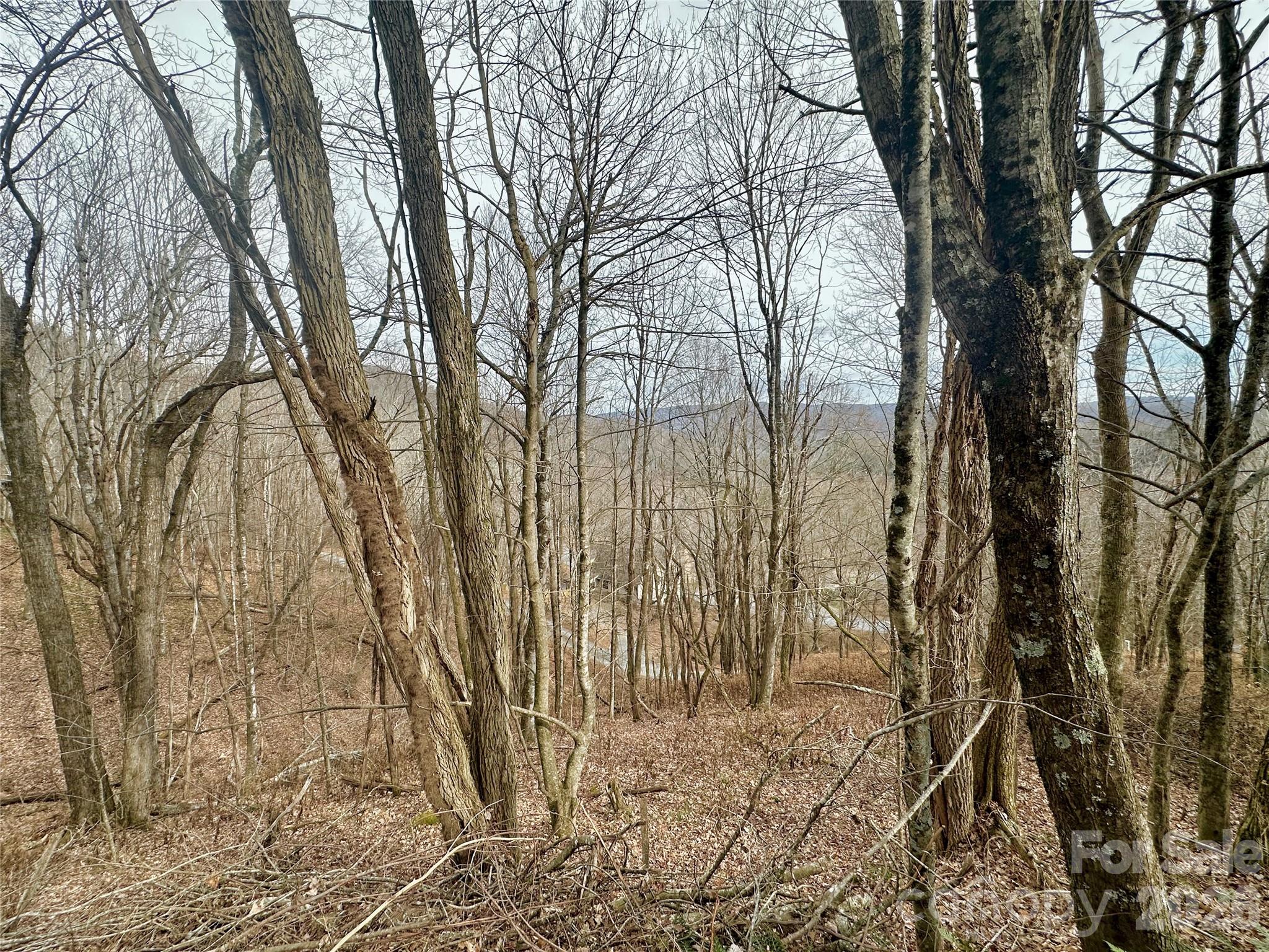 Tbd Alpine Drive Seven Devils NC 28604