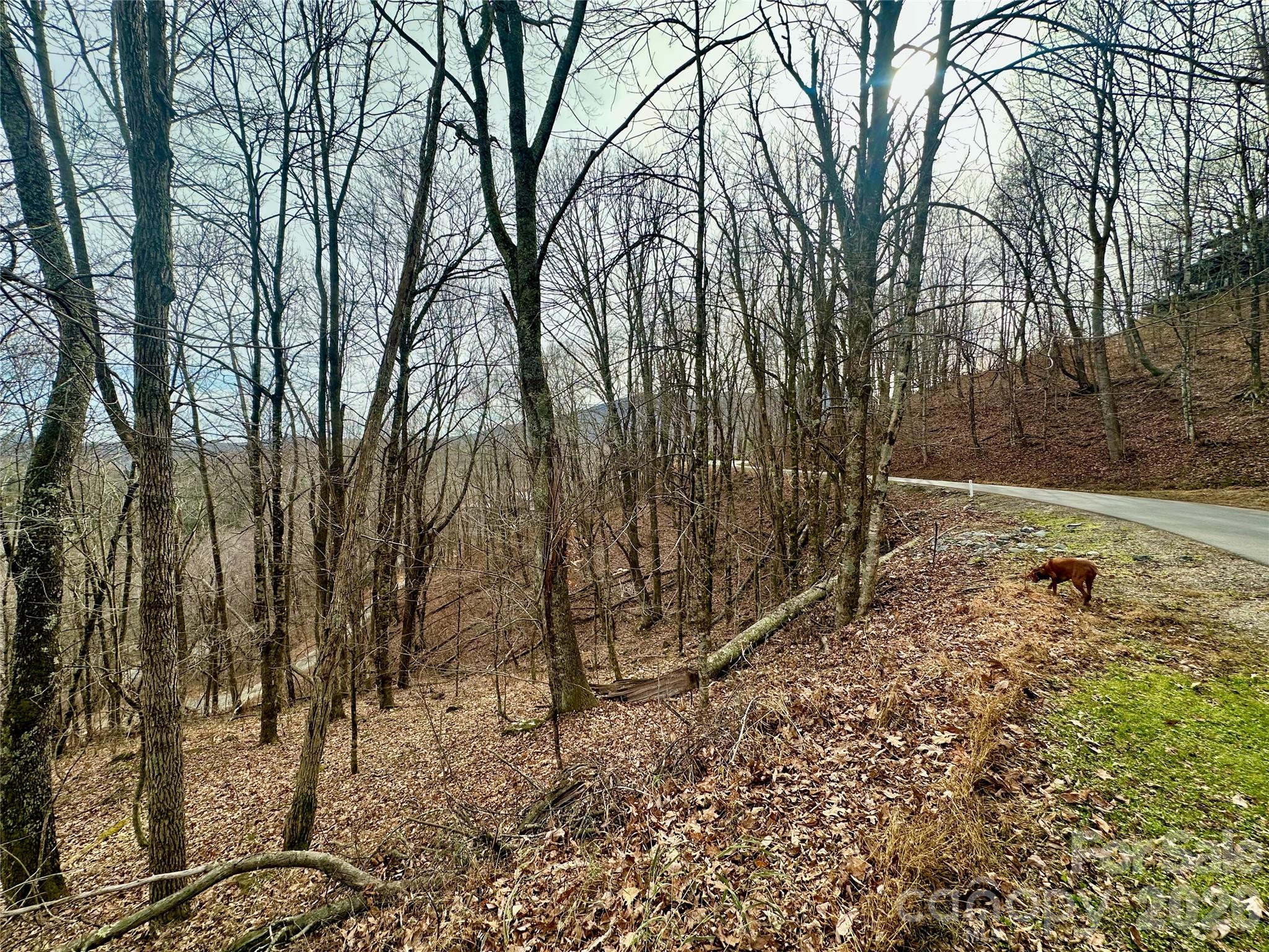 Tbd Alpine Drive Seven Devils NC 28604