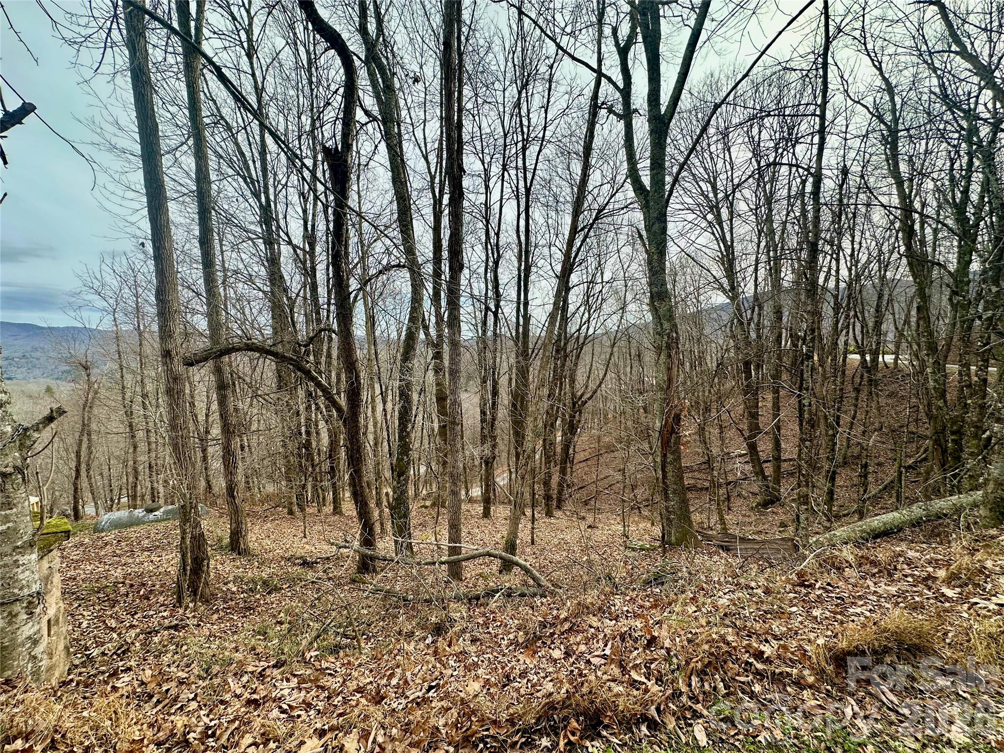 Tbd Alpine Drive Seven Devils NC 28604