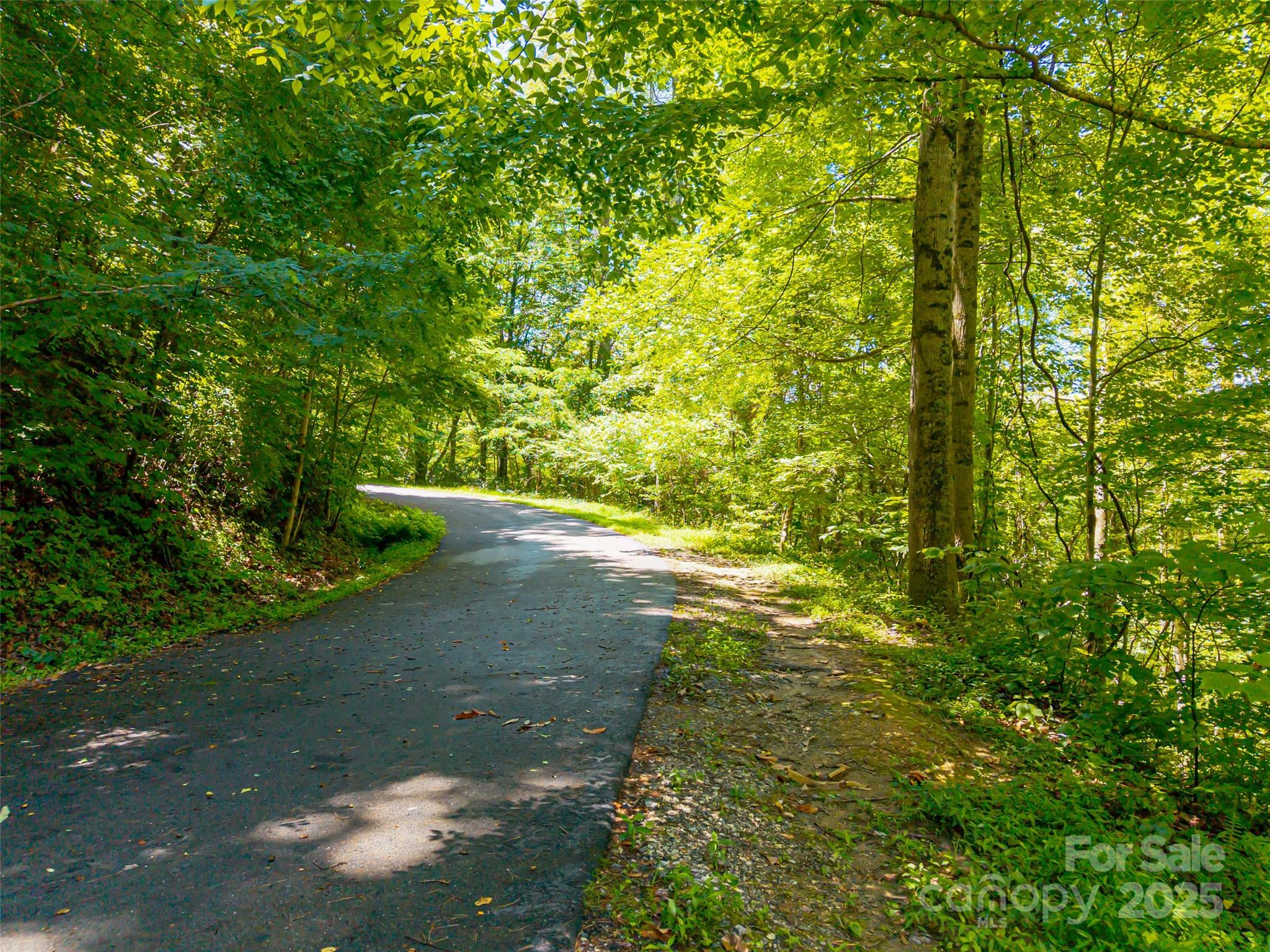99999 Whispering Woods Path Mars Hill NC 28754