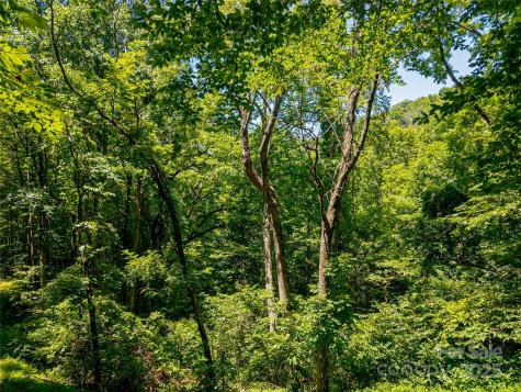 99999 Whispering Woods Path Mars Hill NC 28754