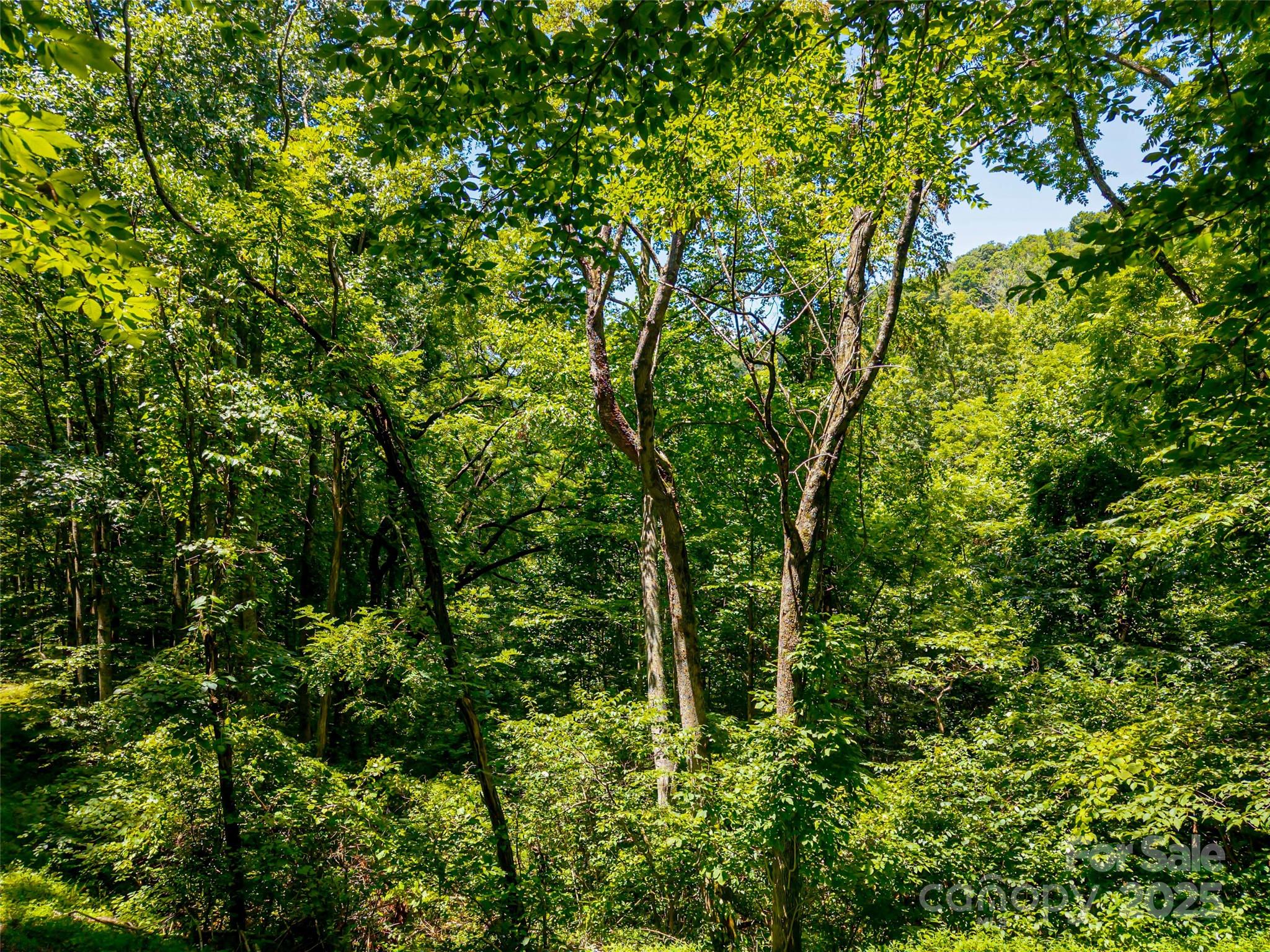 99999 Whispering Woods Path Mars Hill NC 28754