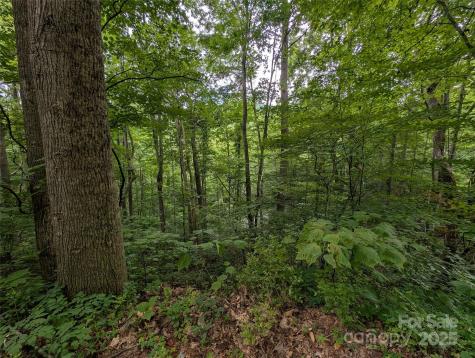 99999 Whispering Woods Path Mars Hill NC 28754