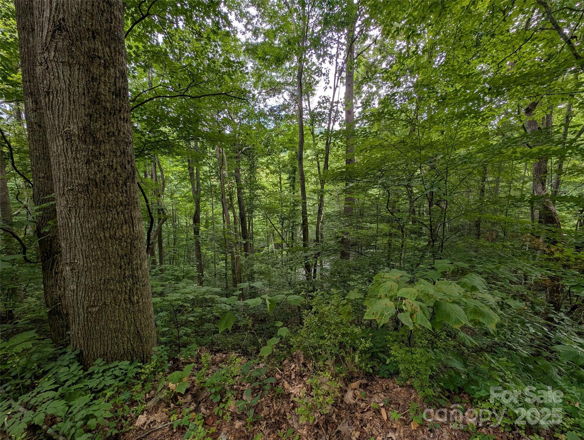 99999 Whispering Woods Path Mars Hill NC 28754
