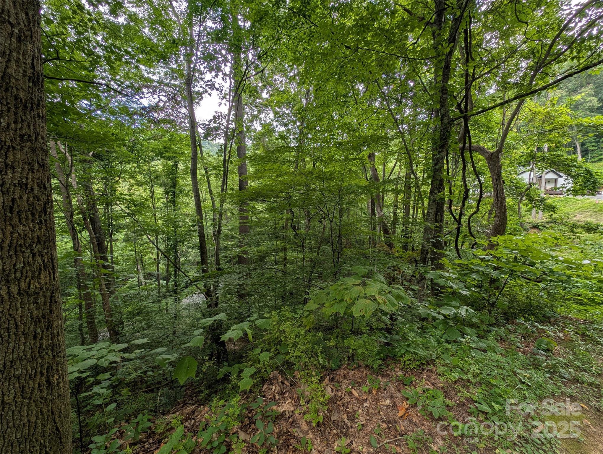 99999 Whispering Woods Path Mars Hill NC 28754