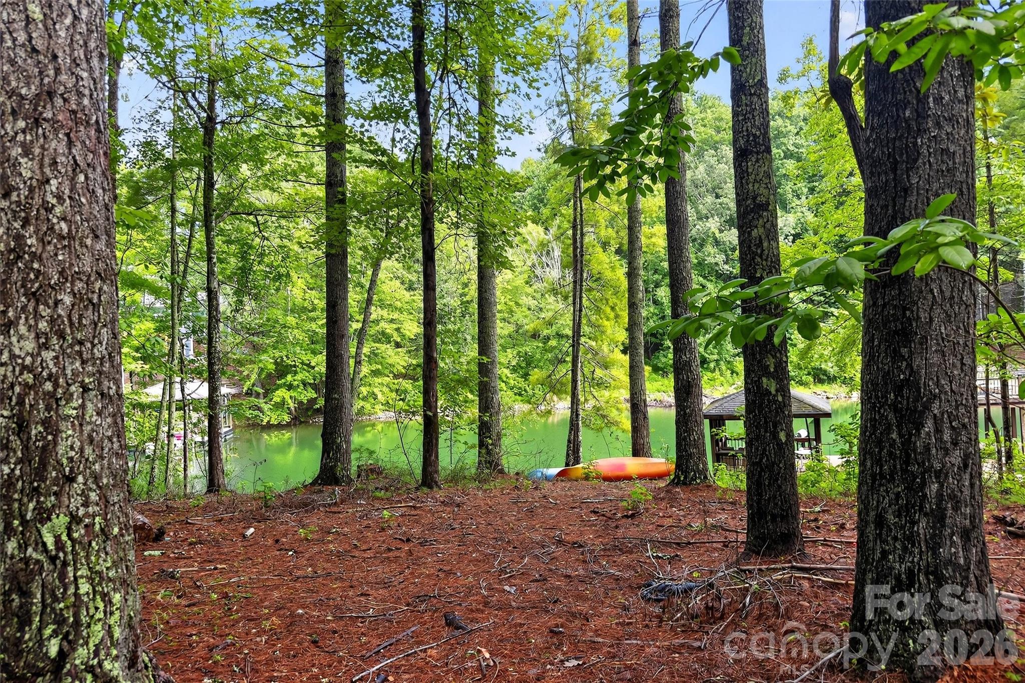 2361 Lake Forest Cove Nebo NC 28761
