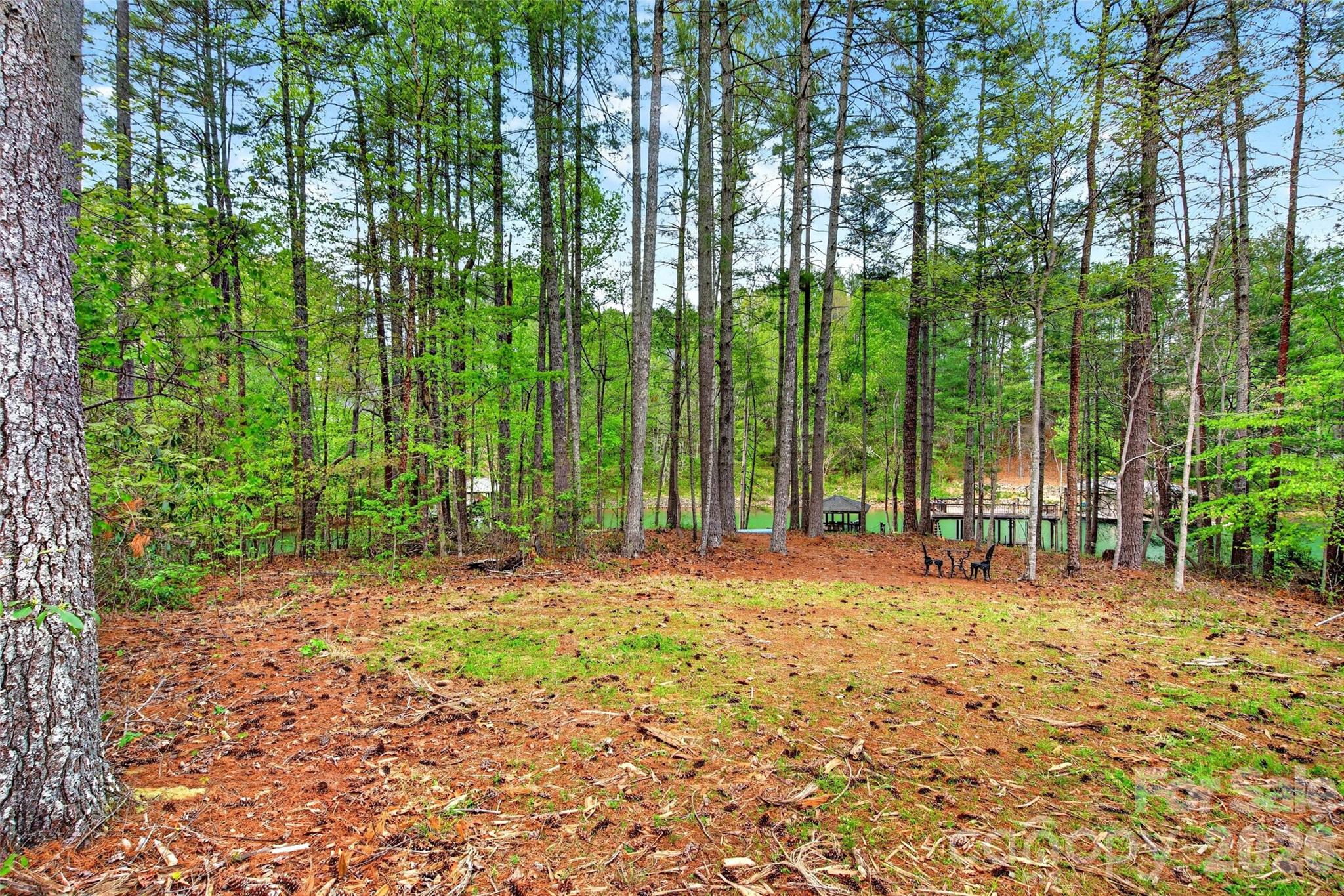 2361 Lake Forest Cove Nebo NC 28761