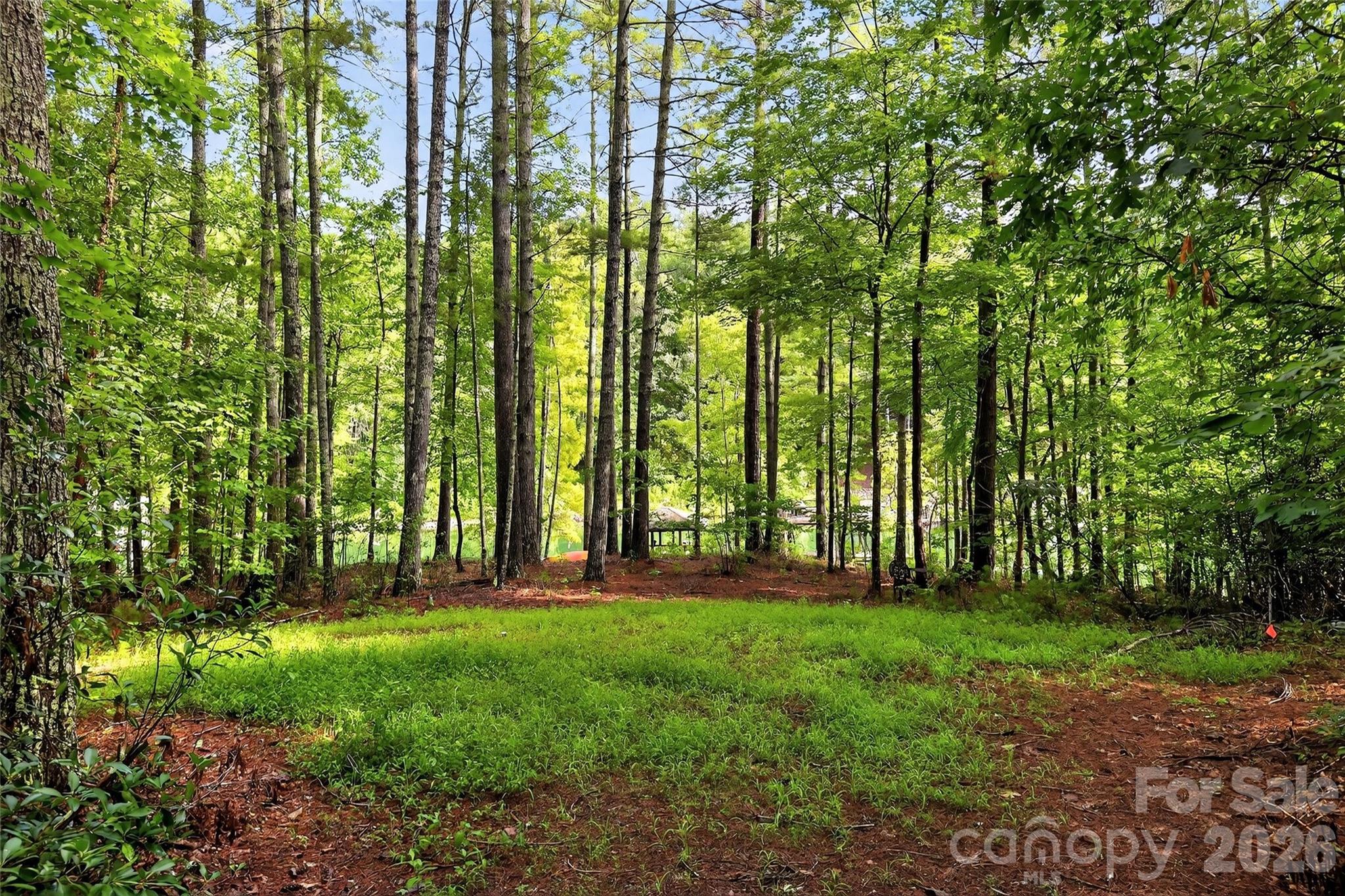 2361 Lake Forest Cove Nebo NC 28761