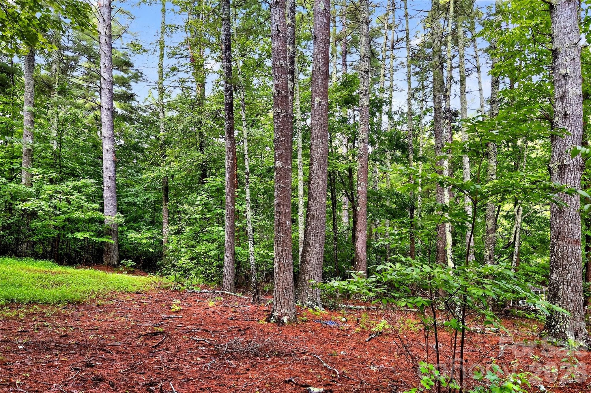 2361 Lake Forest Cove Nebo NC 28761