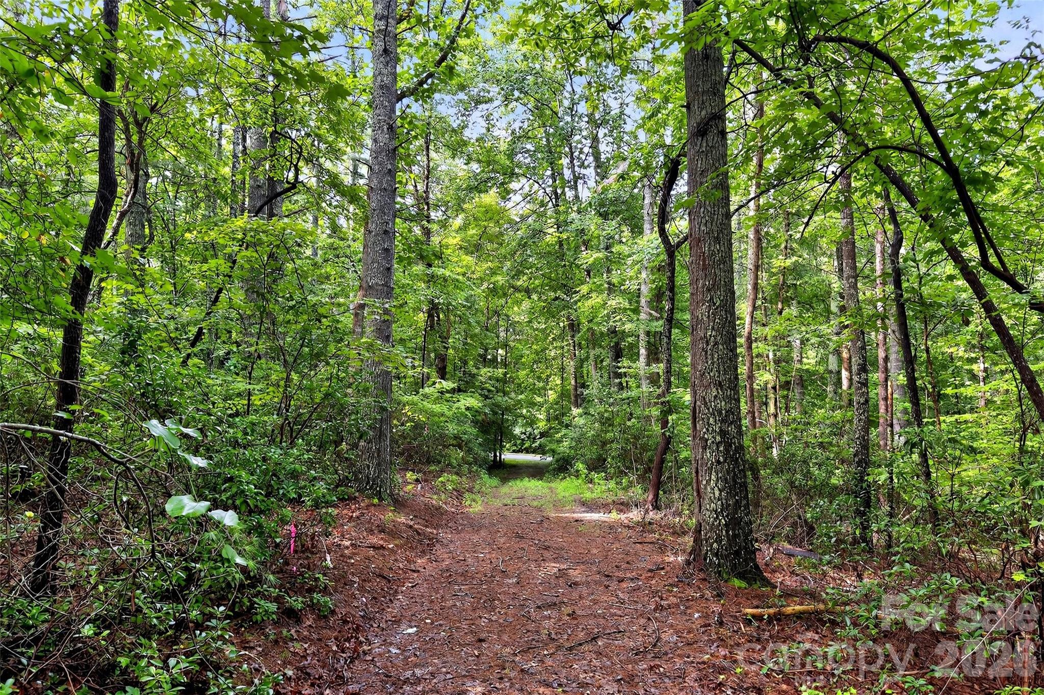 2361 Lake Forest Cove Nebo NC 28761