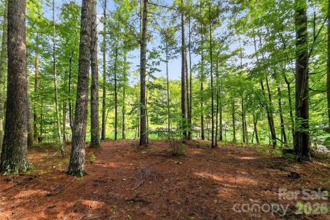 2361 Lake Forest Cove Nebo NC 28761