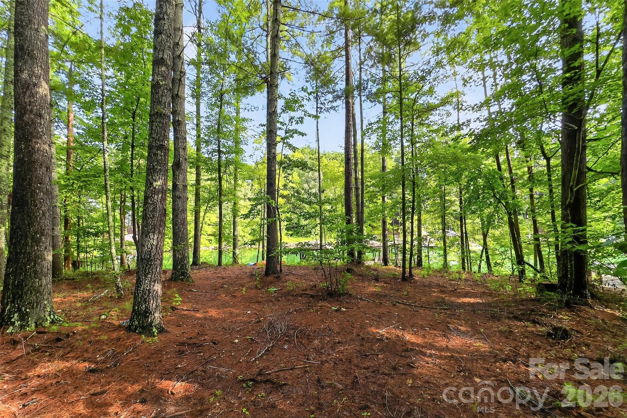 2361 Lake Forest Cove Nebo NC 28761