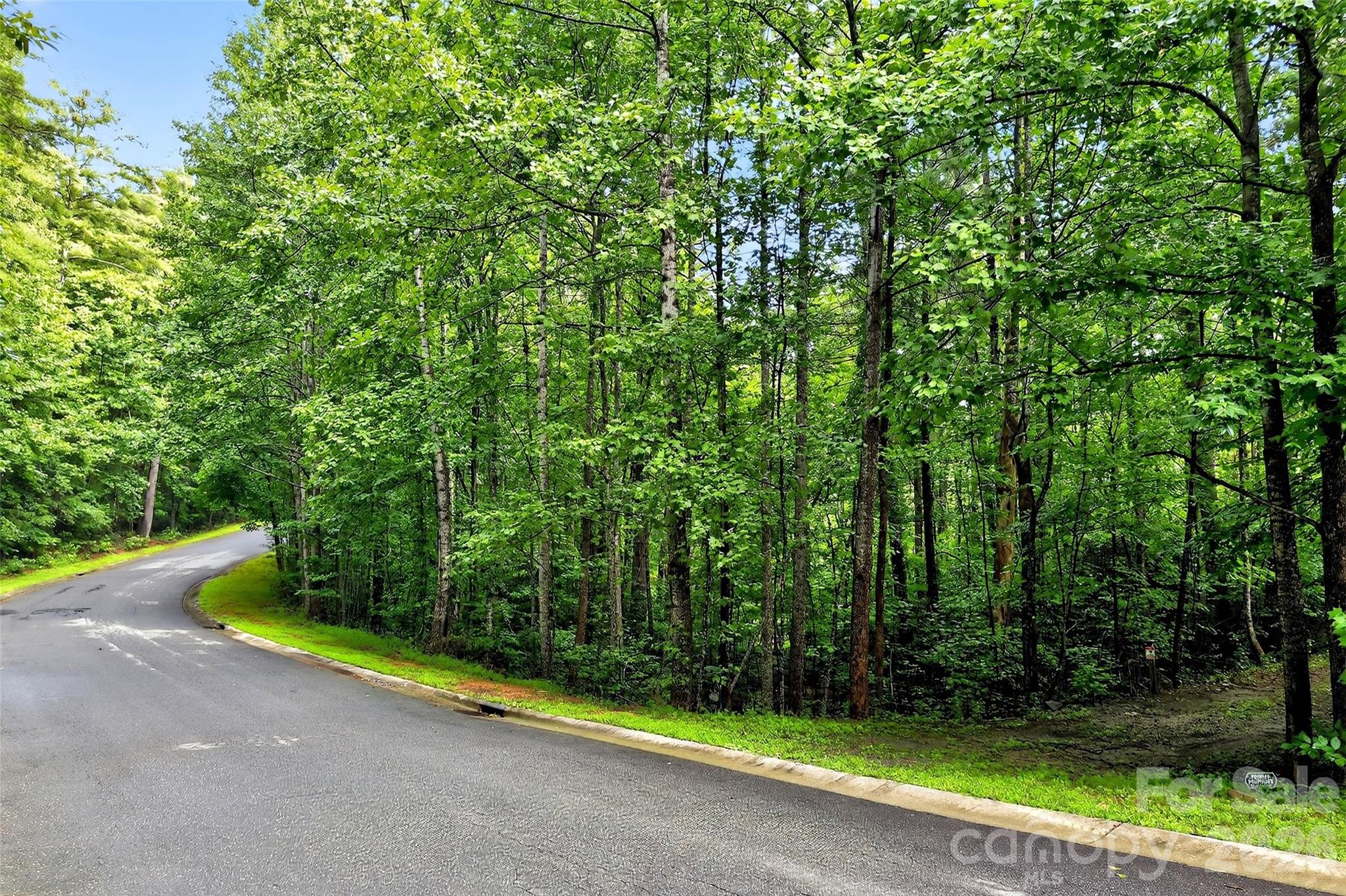 2361 Lake Forest Cove Nebo NC 28761