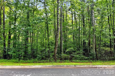 2361 Lake Forest Cove Nebo NC 28761