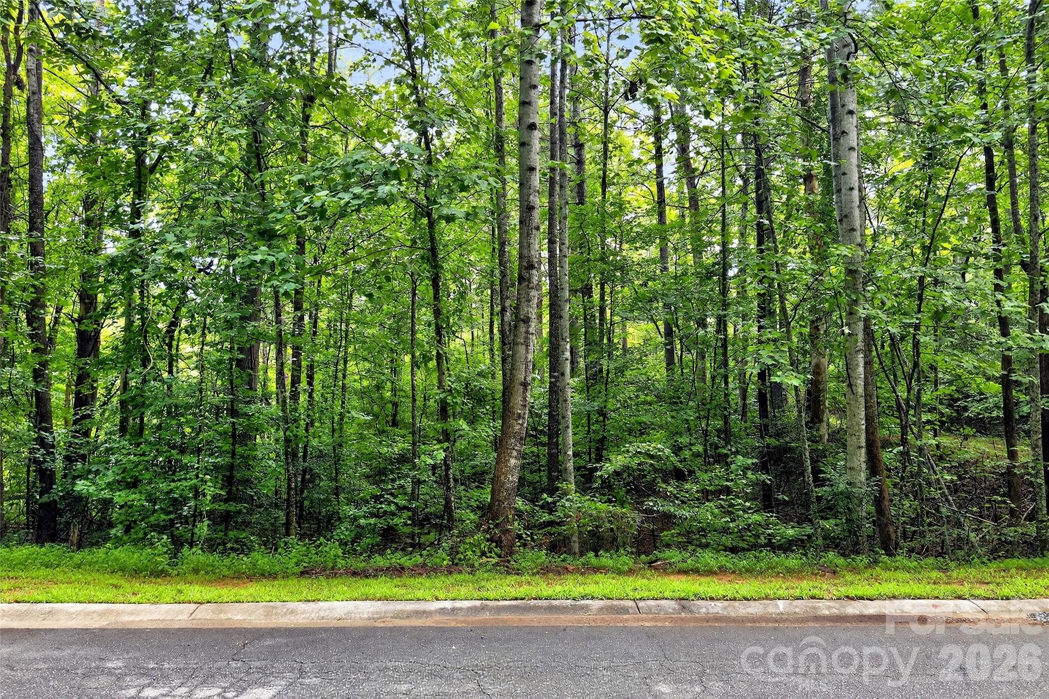 2361 Lake Forest Cove Nebo NC 28761