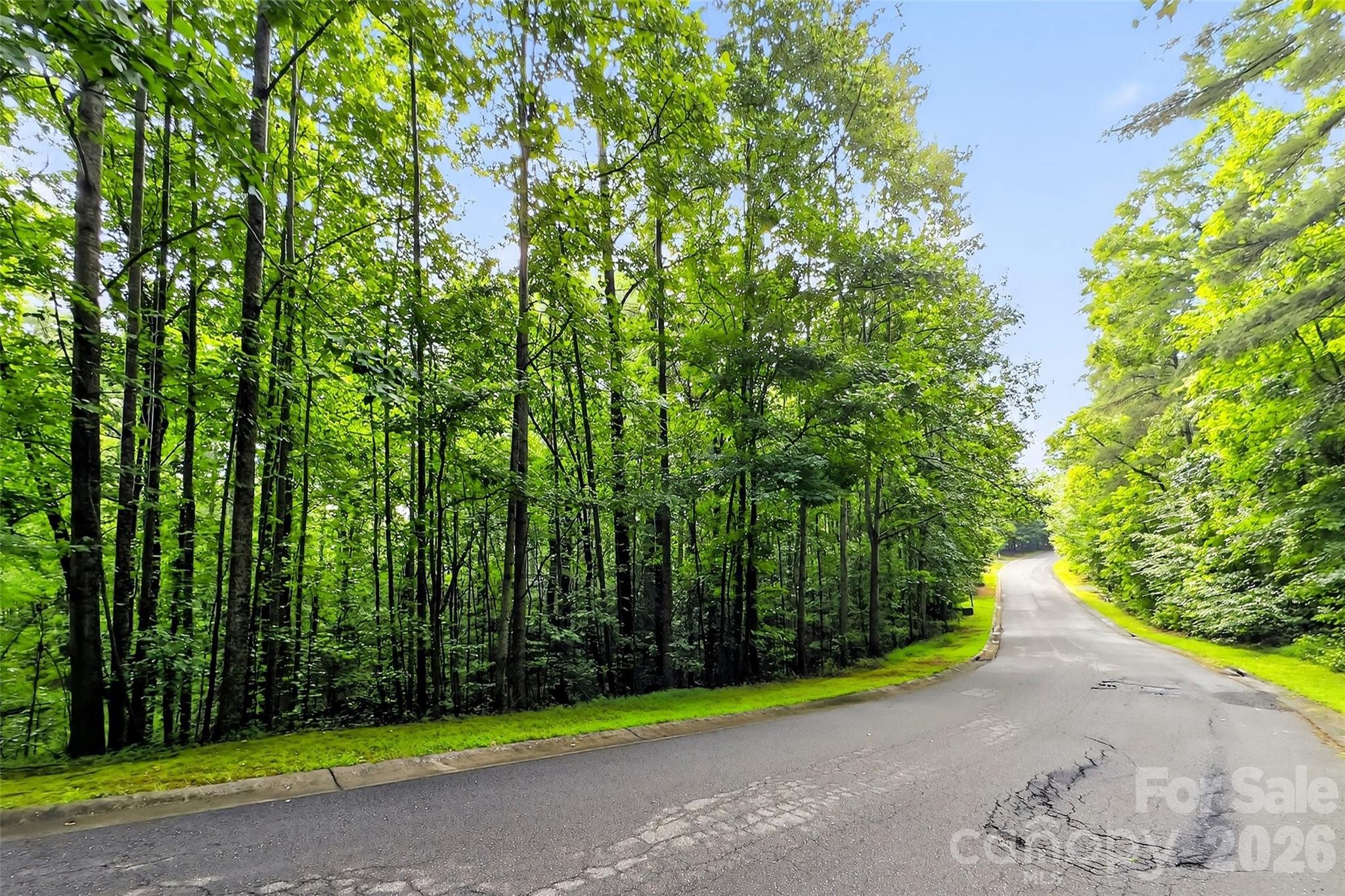 2361 Lake Forest Cove Nebo NC 28761