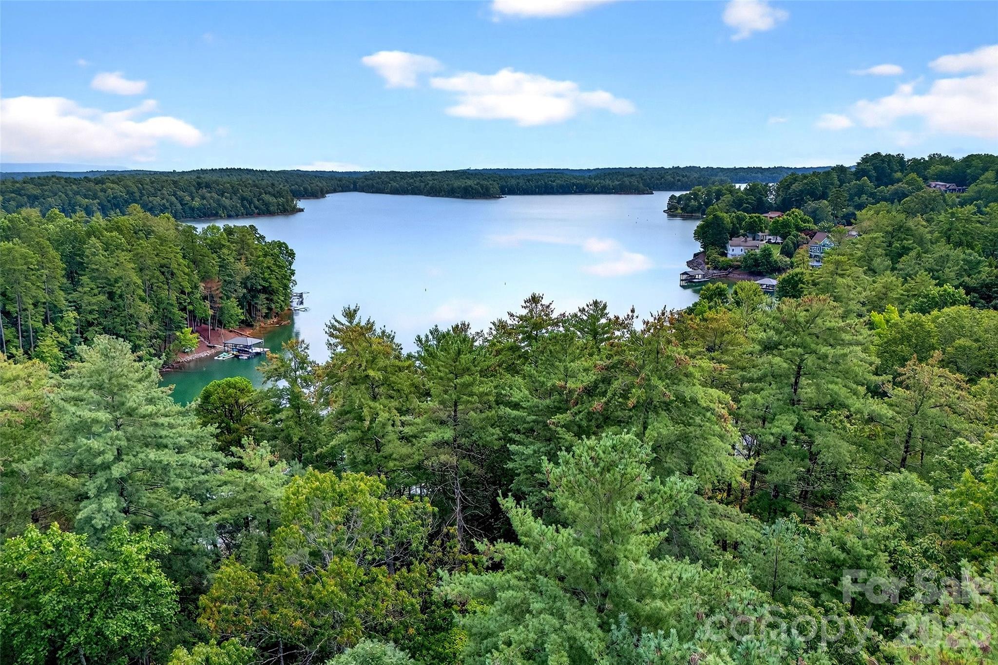 2361 Lake Forest Cove Nebo NC 28761