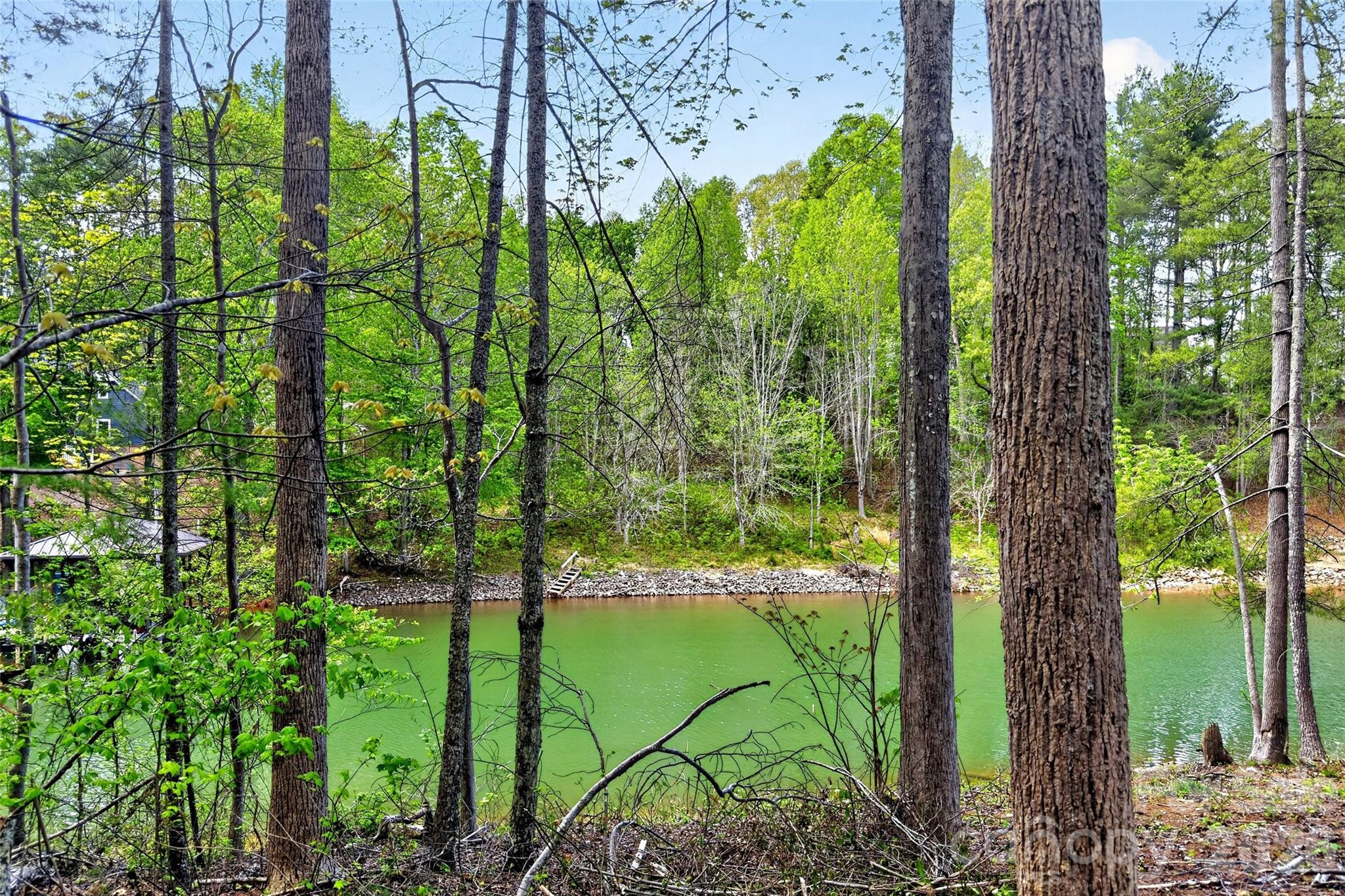2361 Lake Forest Cove Nebo NC 28761