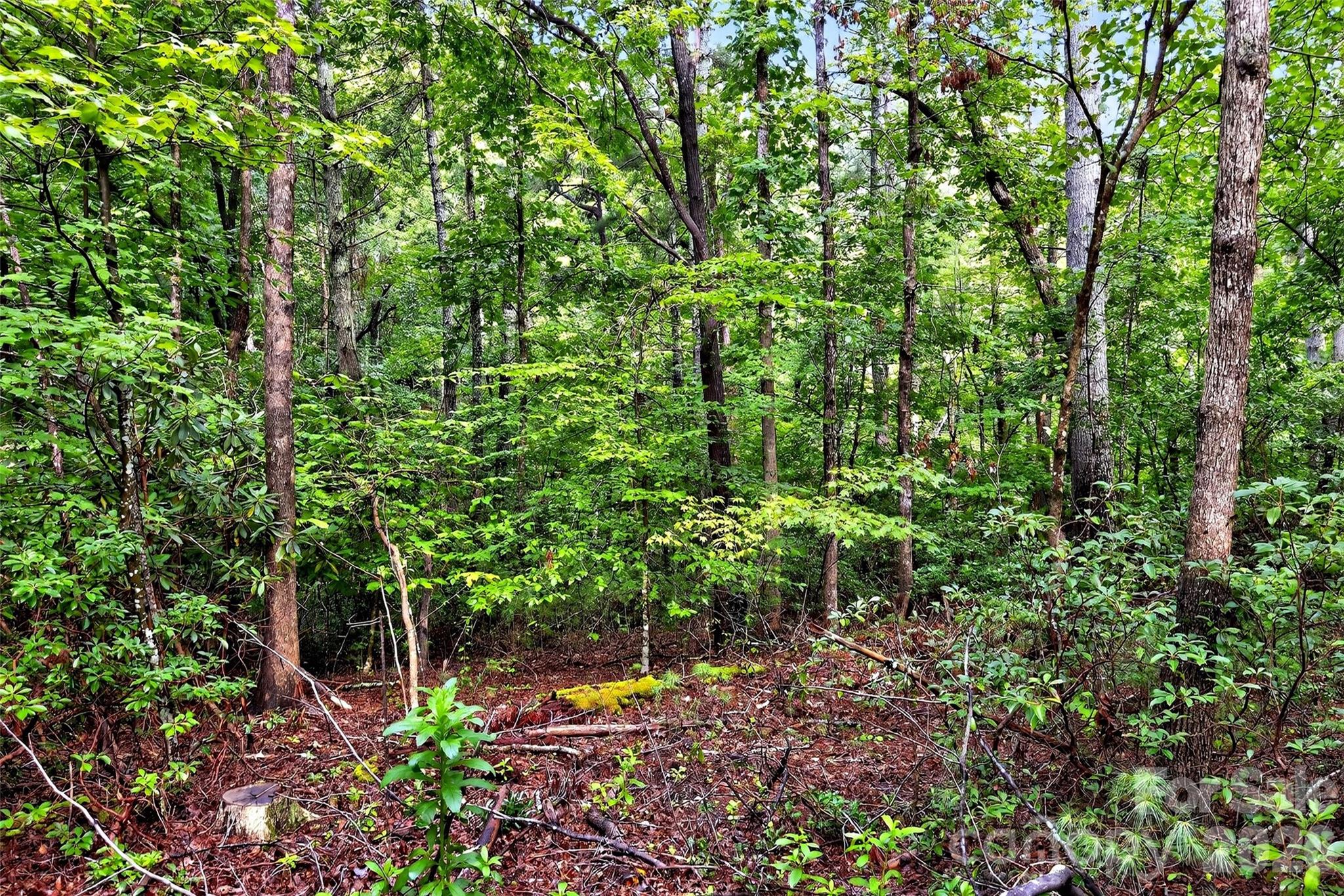 2361 Lake Forest Cove Nebo NC 28761