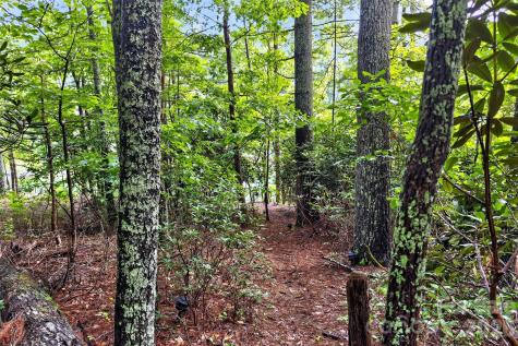 2361 Lake Forest Cove Nebo NC 28761