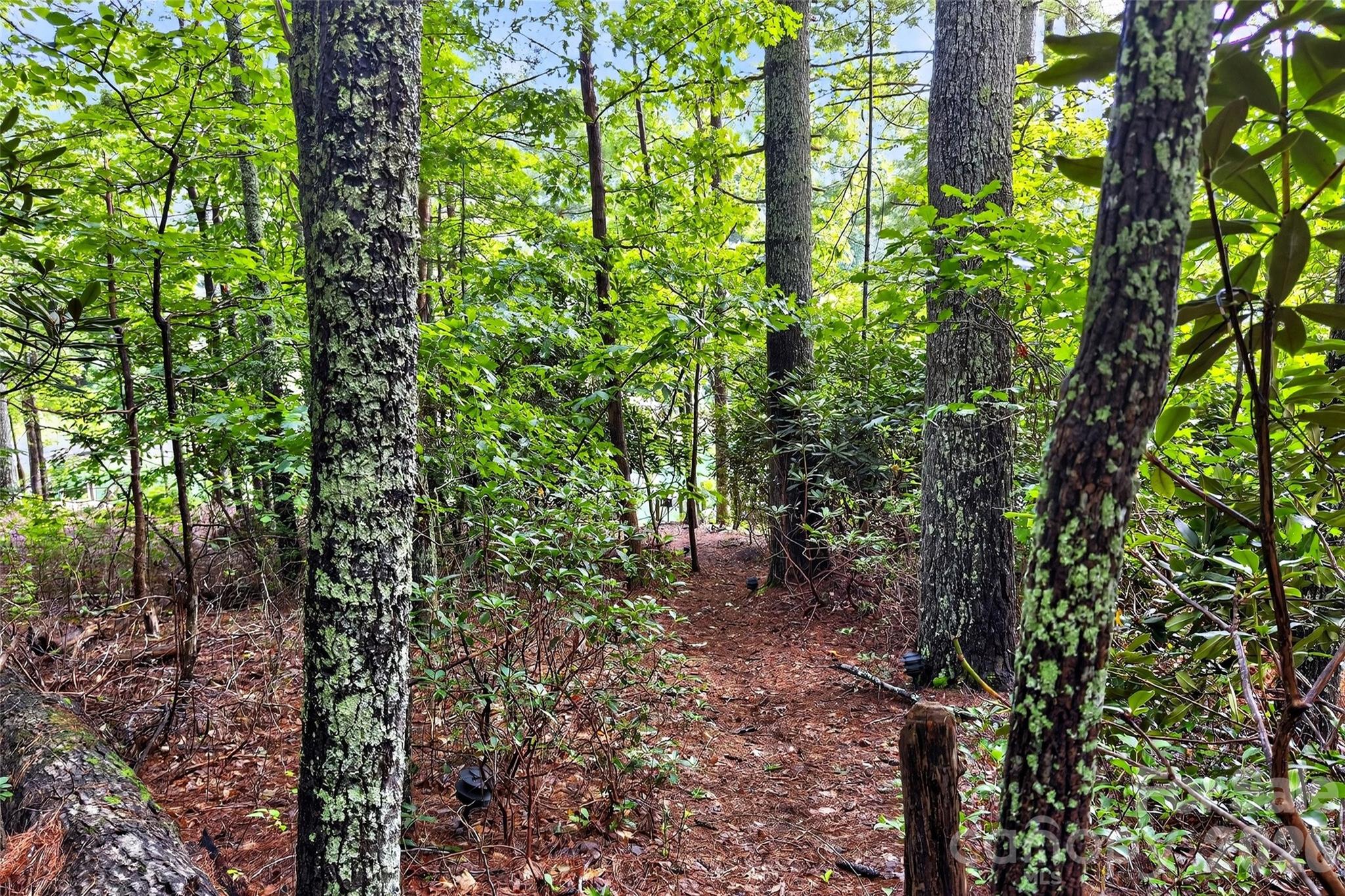 2361 Lake Forest Cove Nebo NC 28761