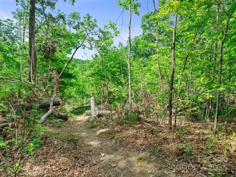 99999 Millbrae Loop N Hendersonville NC 28791