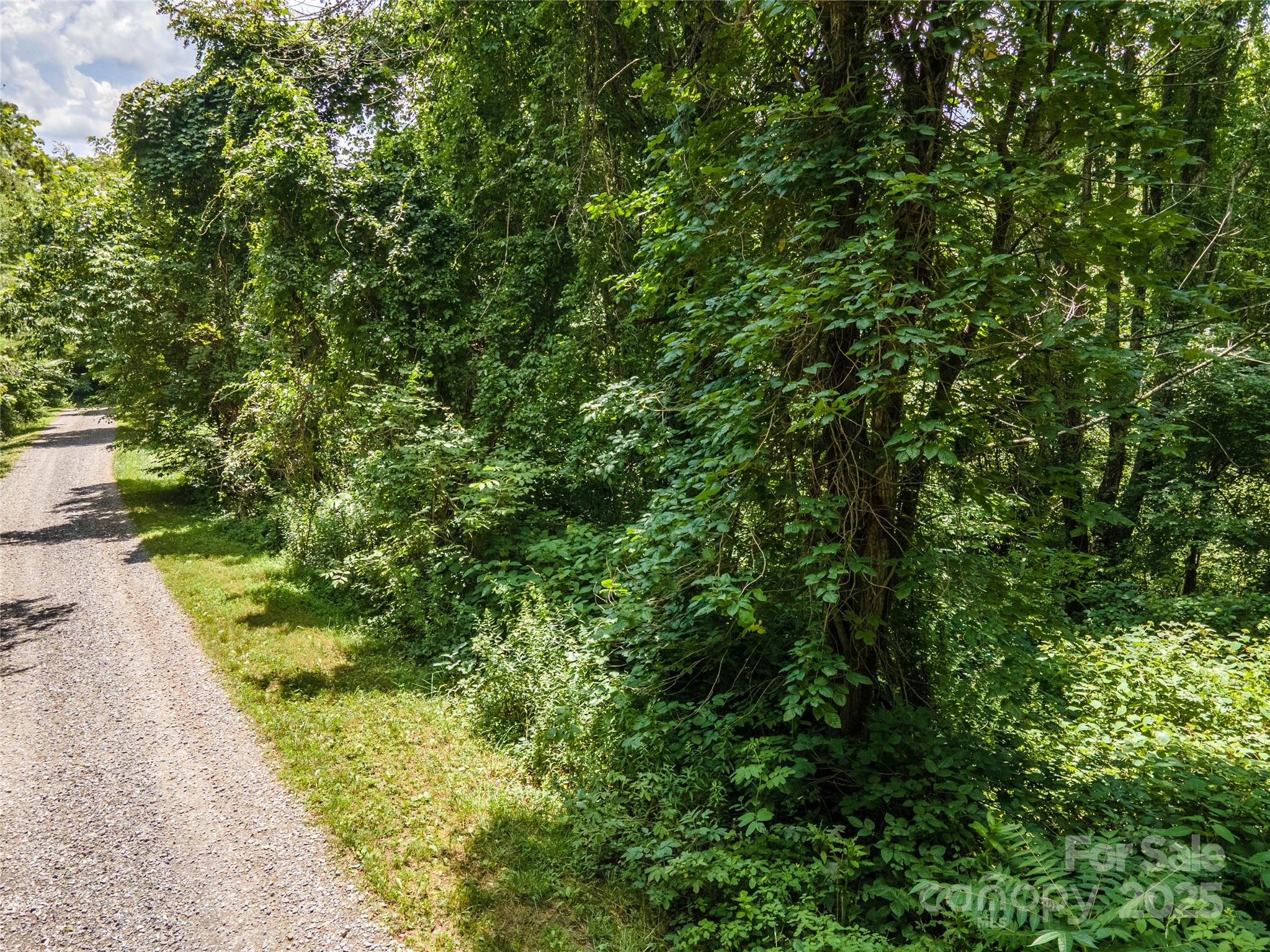 00 Troutman Trail Leicester NC 28748