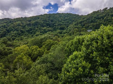 00 Troutman Trail Leicester NC 28748