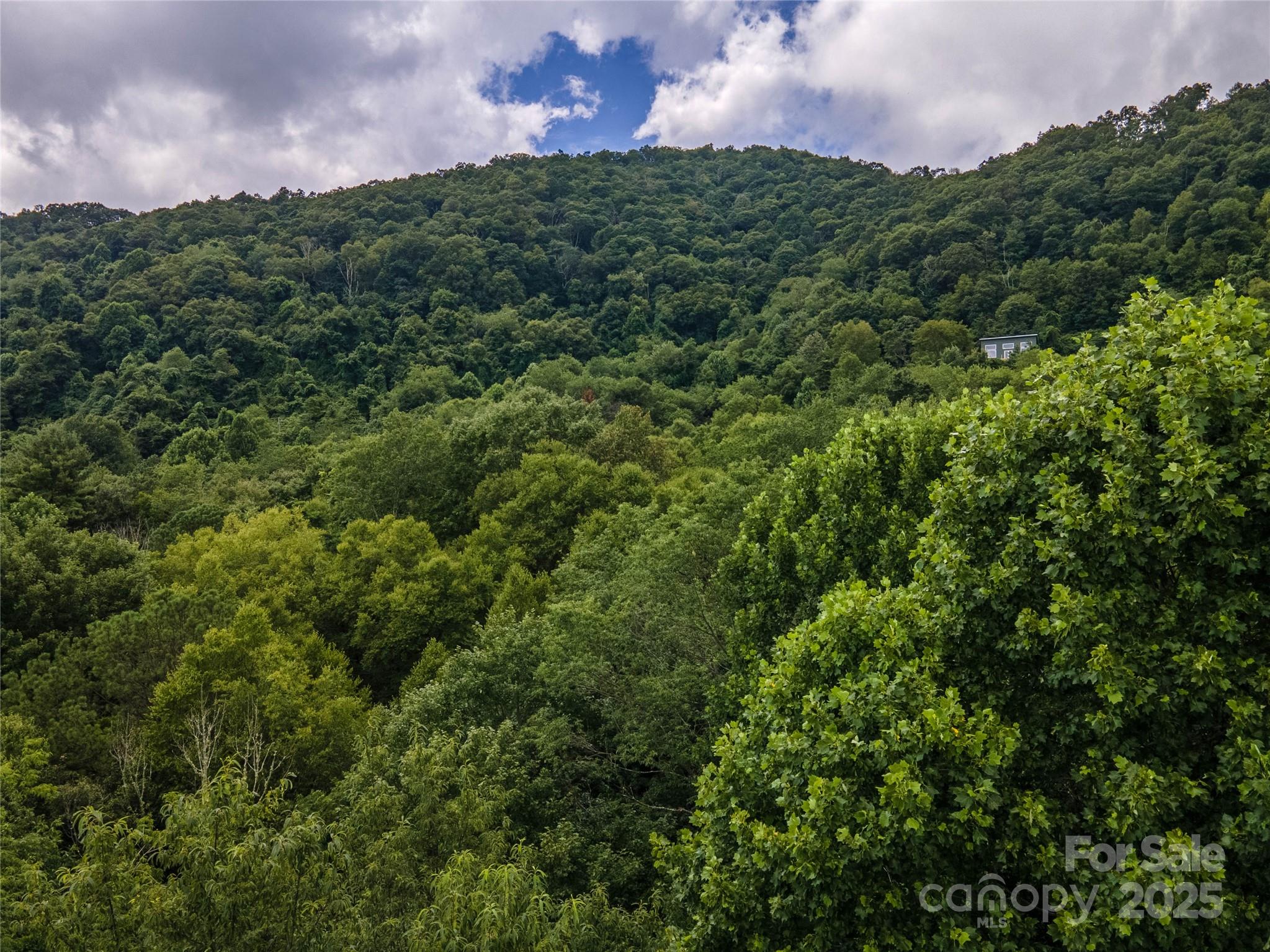 00 Troutman Trail Leicester NC 28748