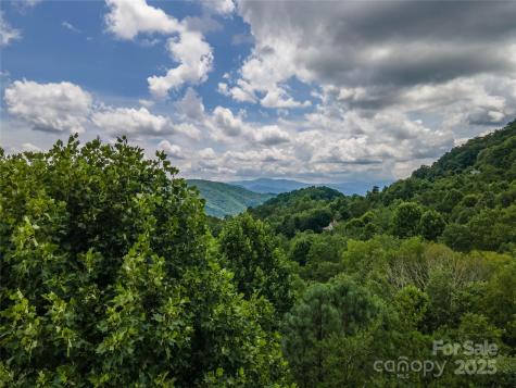 00 Troutman Trail Leicester NC 28748
