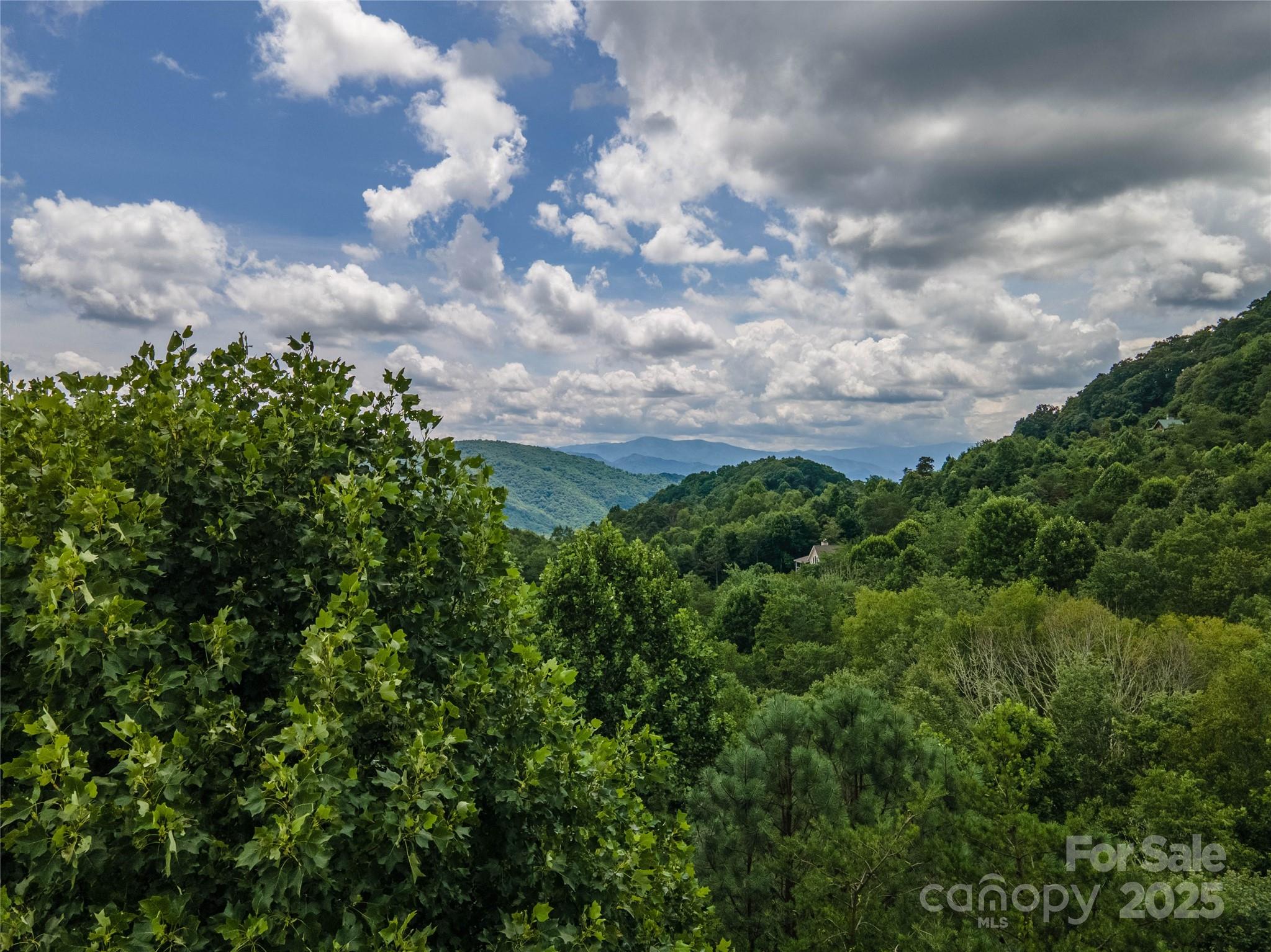 00 Troutman Trail Leicester NC 28748