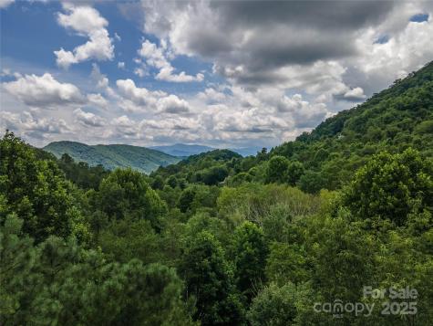 00 Troutman Trail Leicester NC 28748