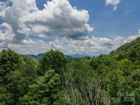 00 Troutman Trail Leicester NC 28748