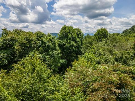 00 Troutman Trail Leicester NC 28748