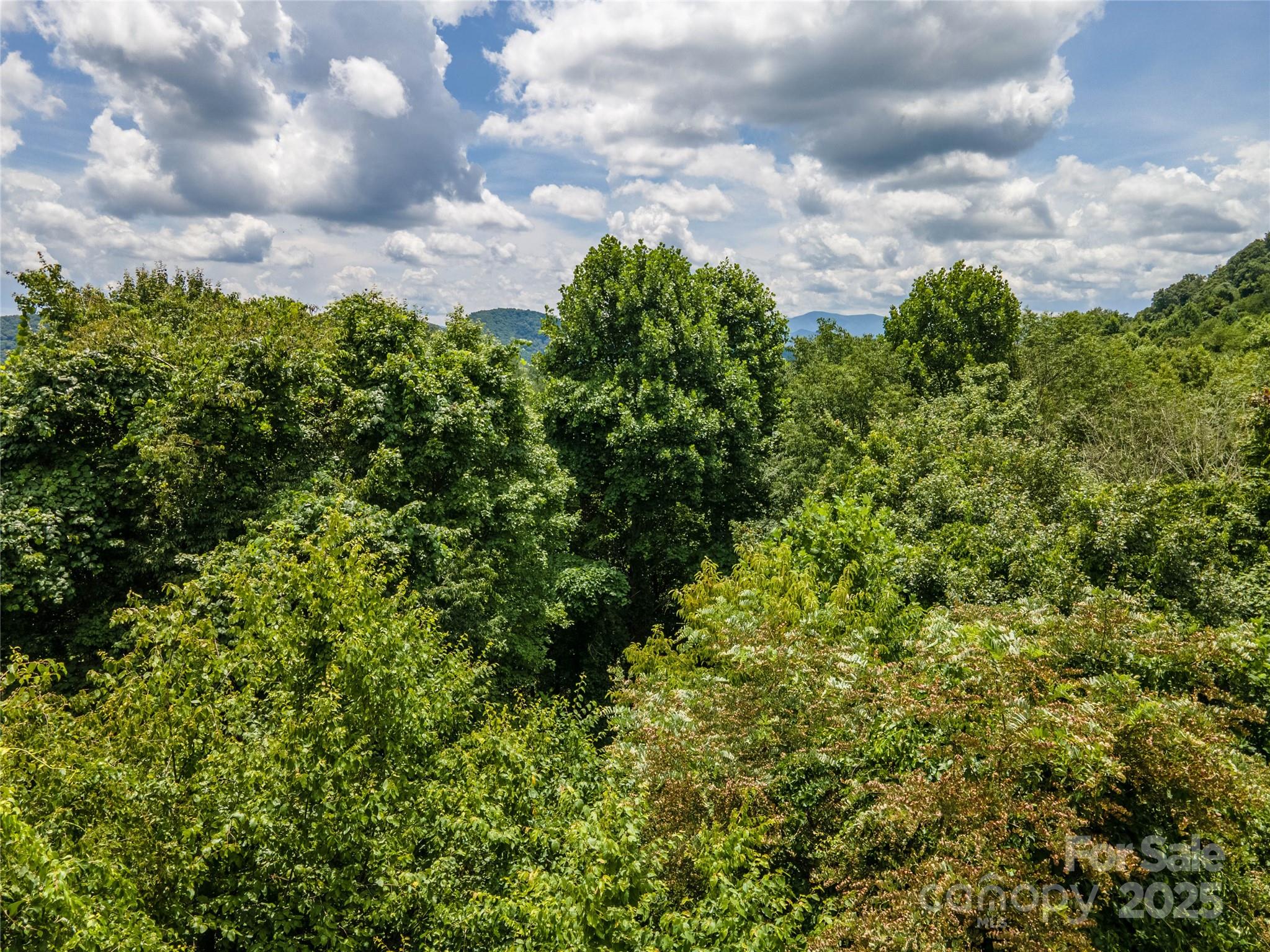 00 Troutman Trail Leicester NC 28748