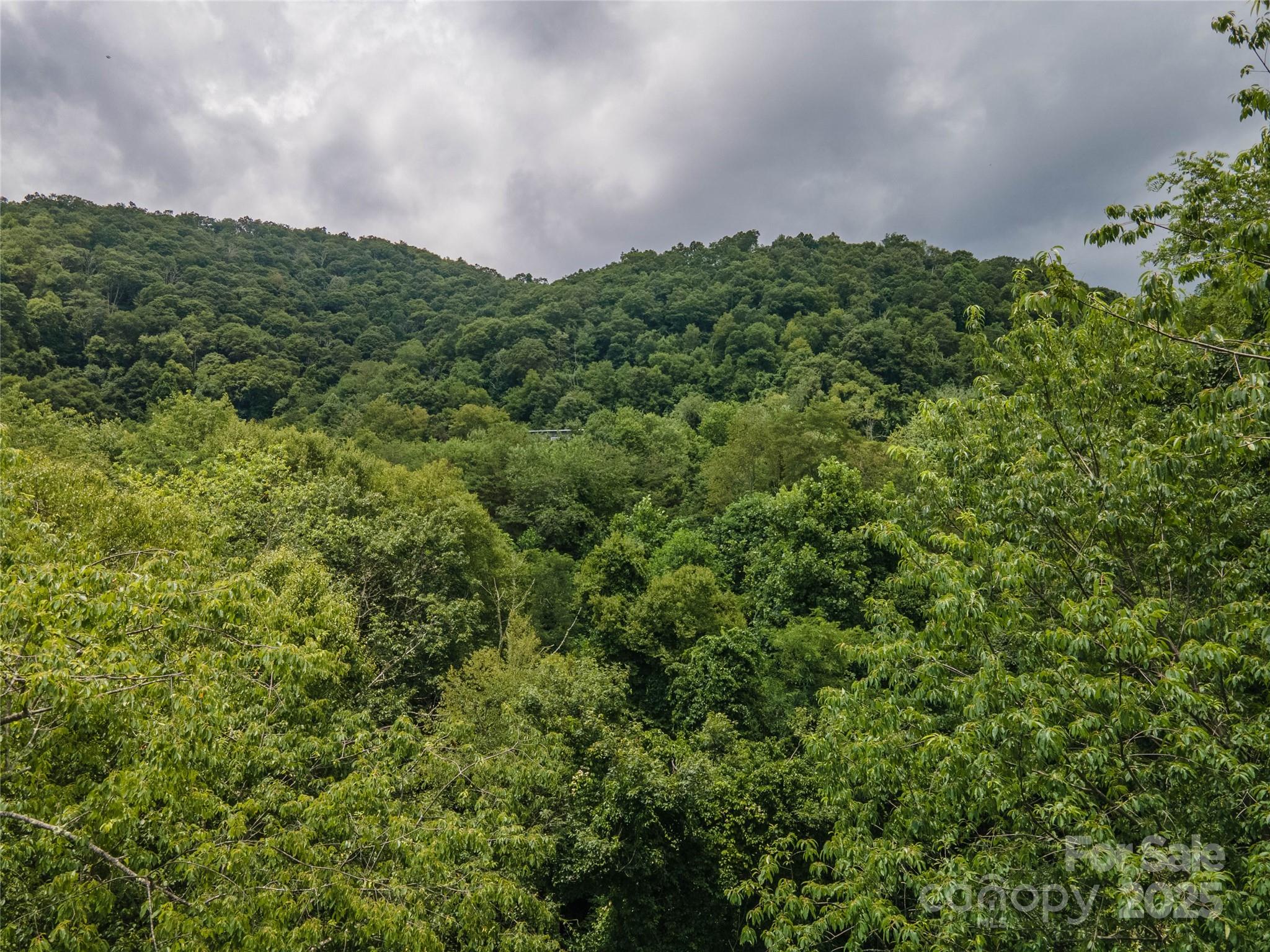 00 Troutman Trail Leicester NC 28748