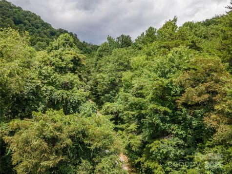 00 Troutman Trail Leicester NC 28748