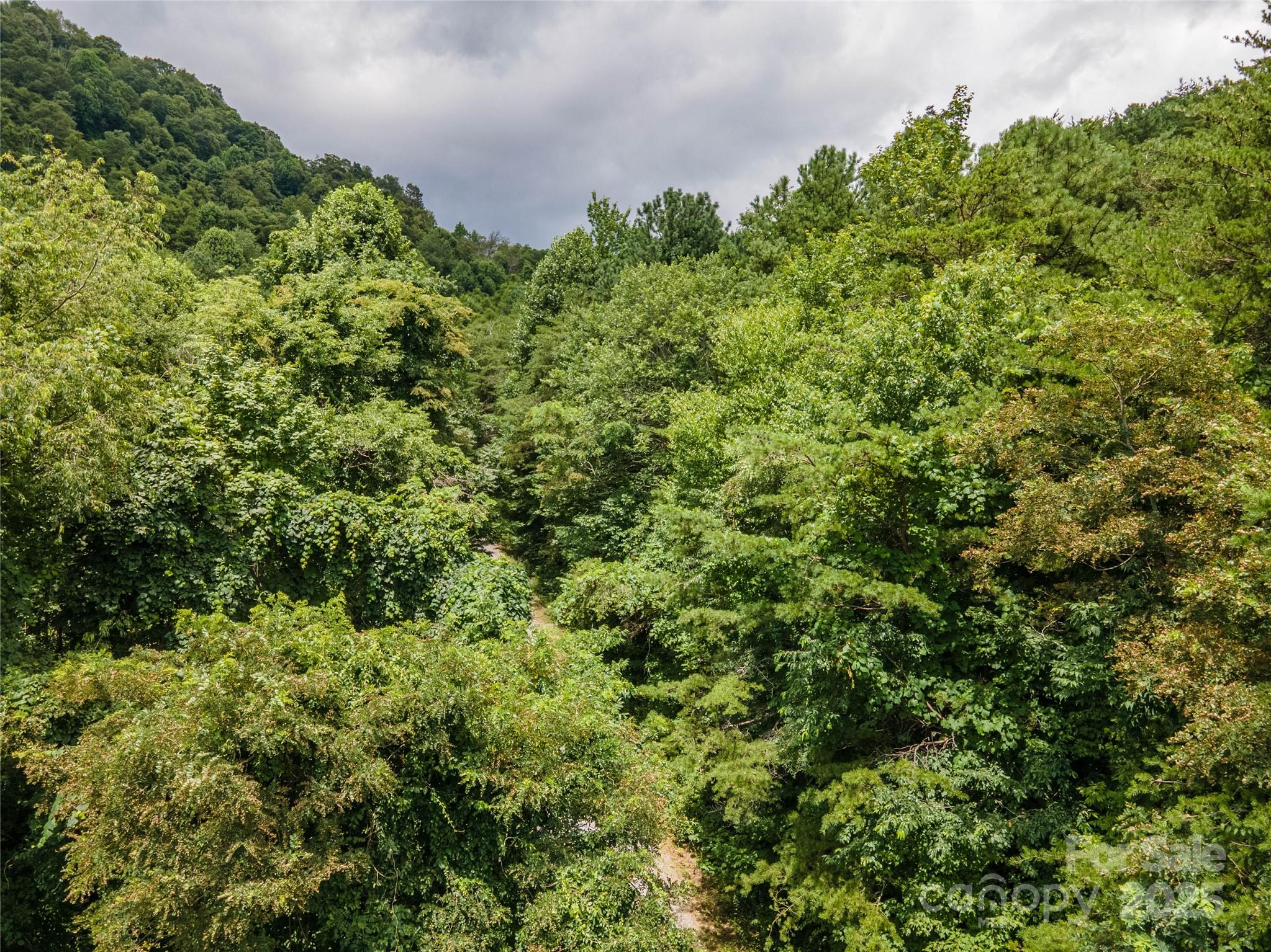 00 Troutman Trail Leicester NC 28748