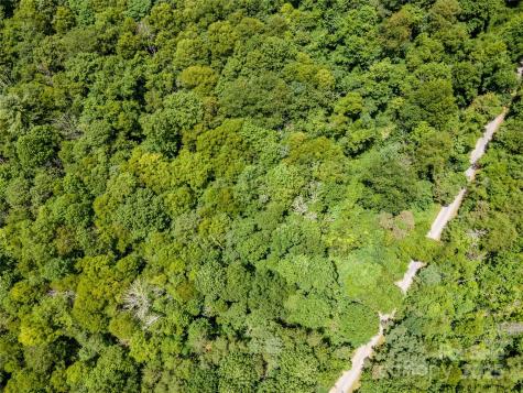 00 Troutman Trail Leicester NC 28748