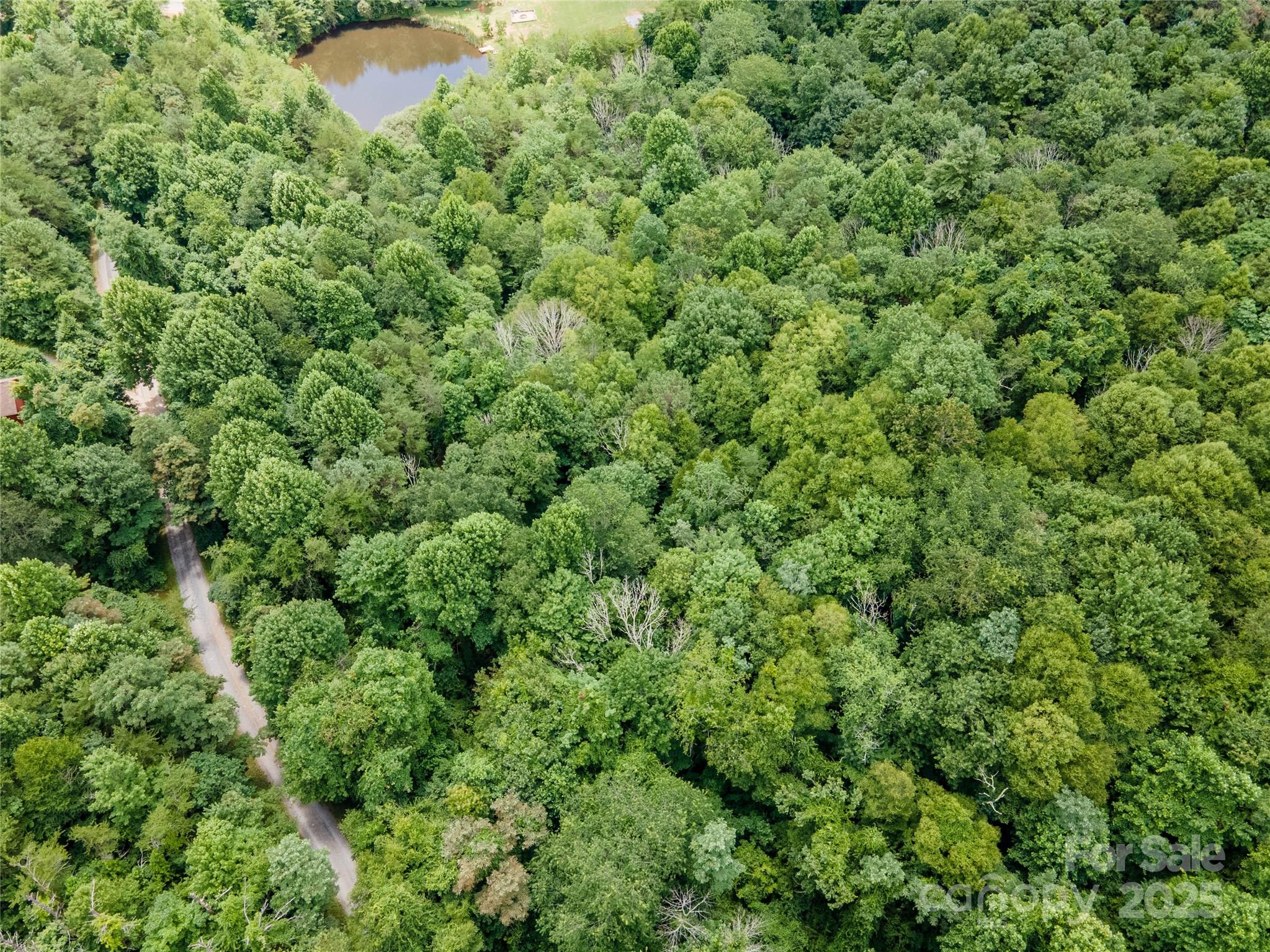 00 Troutman Trail Leicester NC 28748