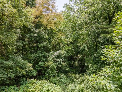 00 Troutman Trail Leicester NC 28748