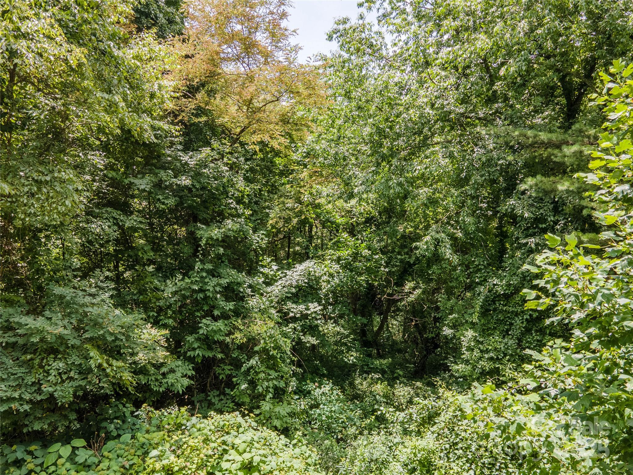 00 Troutman Trail Leicester NC 28748