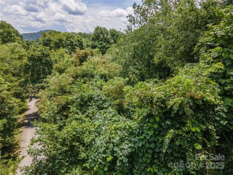 00 Troutman Trail Leicester NC 28748
