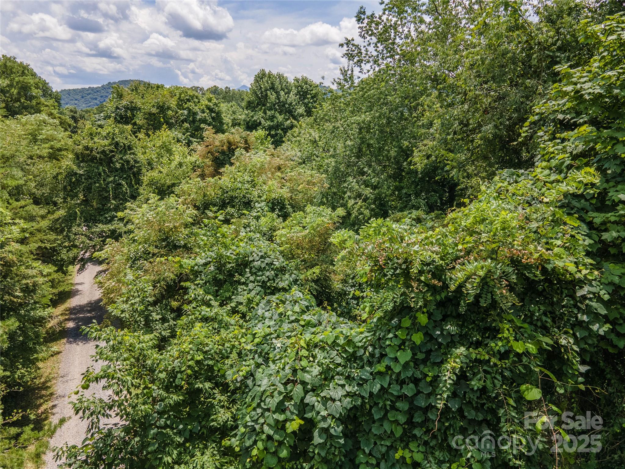 00 Troutman Trail Leicester NC 28748
