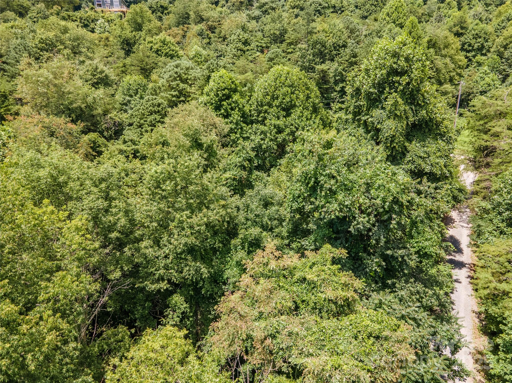 00 Troutman Trail Leicester NC 28748