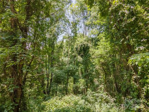 00 Troutman Trail Leicester NC 28748