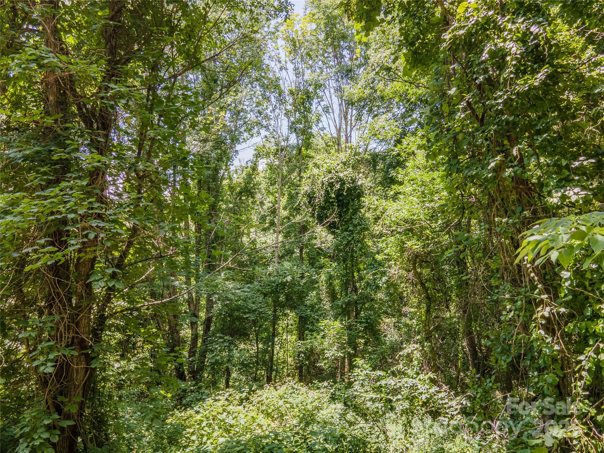 00 Troutman Trail Leicester NC 28748
