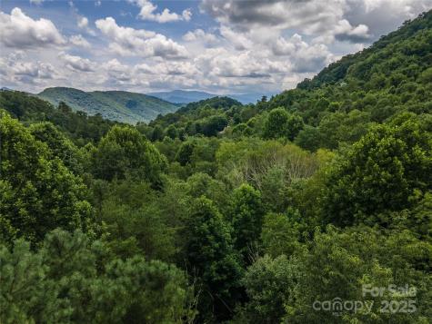 00 Troutman Trail Leicester NC 28748