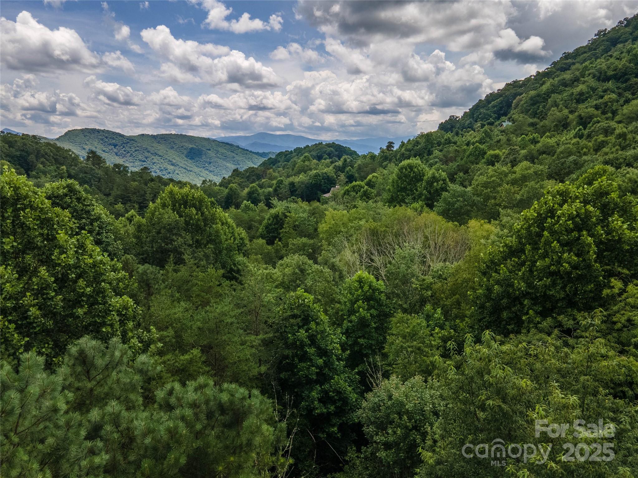 00 Troutman Trail Leicester NC 28748